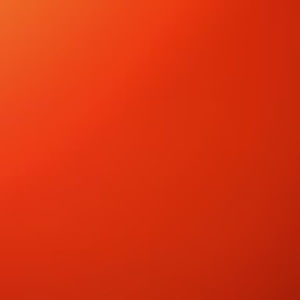 Meet your Posher, Renato